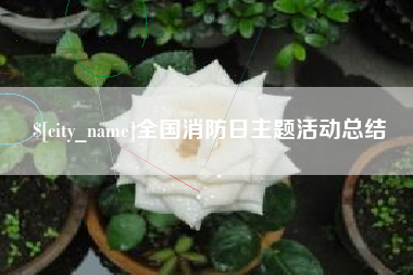 黄石全国消防日主题活动总结