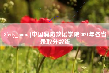 黄石中国消防救援学院2021年各省录取分数线