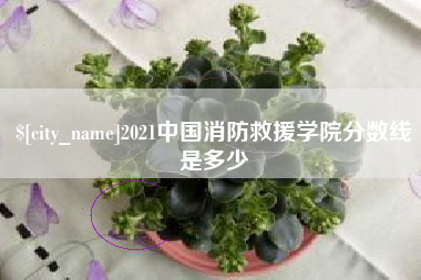 黄石2021中国消防救援学院分数线是多少