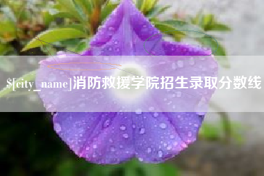 黄石消防救援学院招生录取分数线