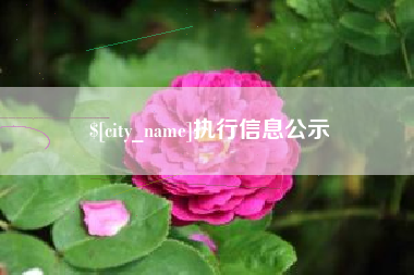 黄石执行信息公示