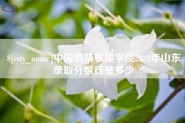 黄石中国消防救援学院2021年山东录取分数线是多少