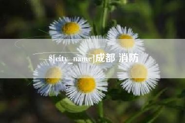 黄石成都 消防