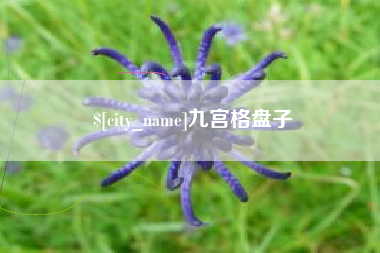 黄石九宫格盘子