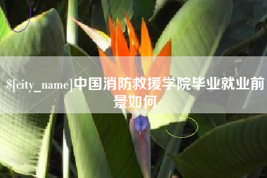 黄石中国消防救援学院毕业就业前景如何