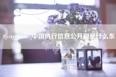黄石中国执行信息公开网是什么东西