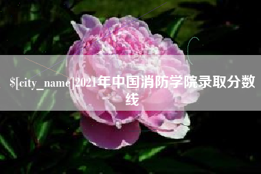黄石2021年中国消防学院录取分数线