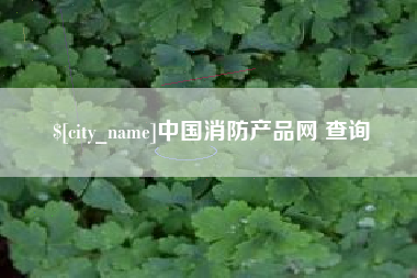 黄石中国消防产品网 查询