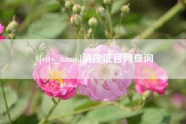黄石消控证官网查询