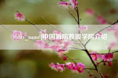 黄石中国消防救援学院介绍