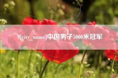 黄石中国男子5000米冠军