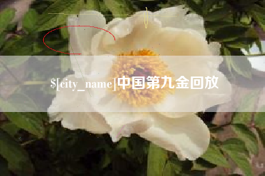 黄石中国第九金回放