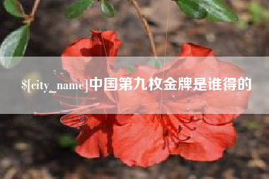 黄石中国第九枚金牌是谁得的
