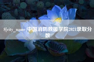 黄石中国消防救援学院2021录取分数