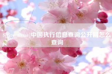 黄石中国执行信息查询公开网怎么查询