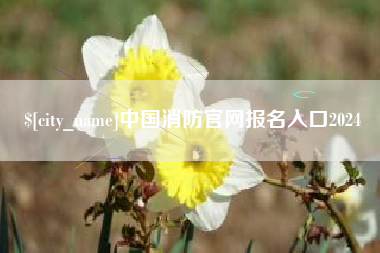 黄石中国消防官网报名入口2024