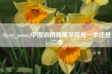 黄石中国消防救援学院是一本还是二本