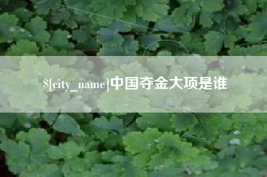 黄石中国夺金大项是谁