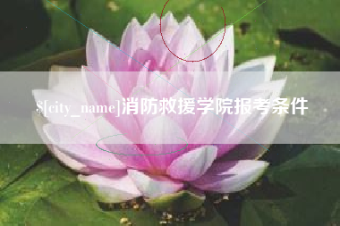 黄石消防救援学院报考条件