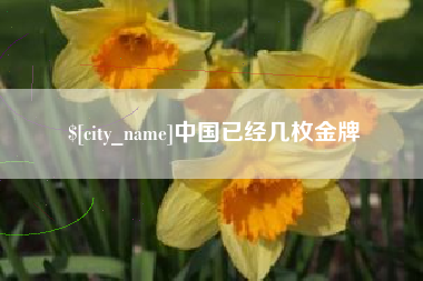 黄石中国已经几枚金牌