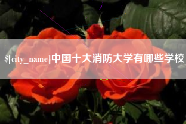 黄石中国十大消防大学有哪些学校