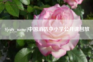 黄石中国消防中小学公开课回放