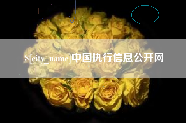 黄石中国执行信息公开网