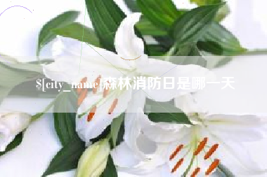 黄石森林消防日是哪一天