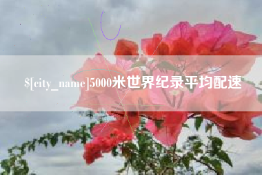 黄石5000米世界纪录平均配速