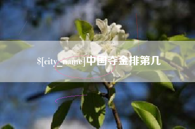 黄石中国夺金排第几