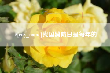 黄石我国消防日是每年的