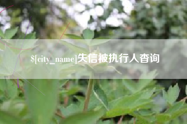 黄石失信被执行人杳询