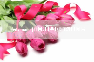 黄石11月9日全国消防日图片