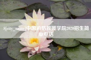 黄石中国消防救援学院2020招生简章电话