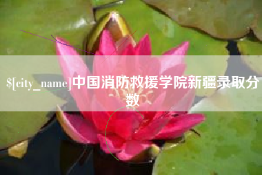 黄石中国消防救援学院新疆录取分数