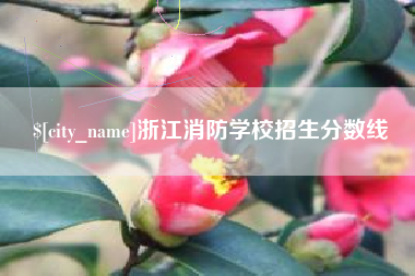 黄石浙江消防学校招生分数线