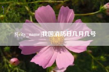 黄石我国消防日几月几号