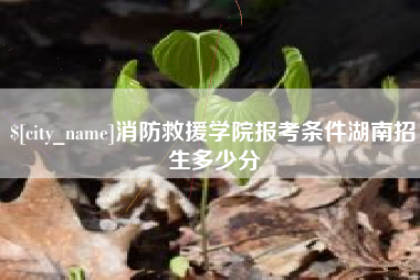 黄石消防救援学院报考条件湖南招生多少分