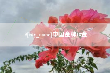 黄石中国金牌18金