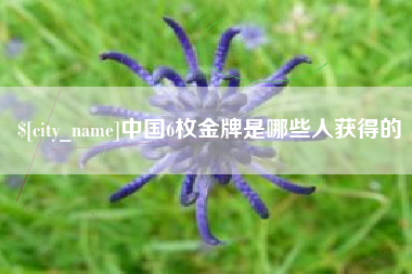 黄石中国6枚金牌是哪些人获得的