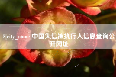 黄石中国失信被执行人信息查询公开网址