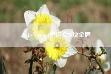 黄石奥运会39块金牌