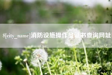 黄石消防设施操作员证书查询网址