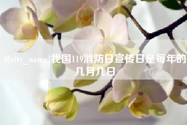 黄石我国119消防日宣传日是每年的几月几日