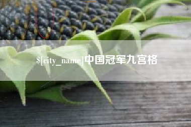 黄石中国冠军九宫格