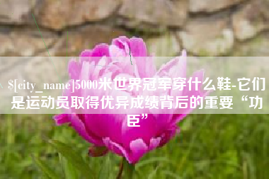 黄石5000米世界冠军穿什么鞋-它们是运动员取得优异成绩背后的重要“功臣”