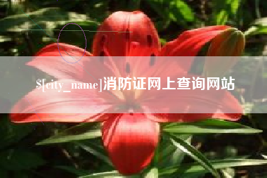 黄石消防证网上查询网站