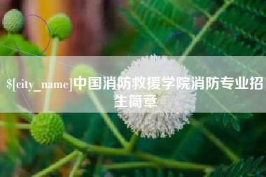 黄石中国消防救援学院消防专业招生简章
