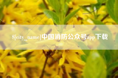 黄石中国消防公众号app下载