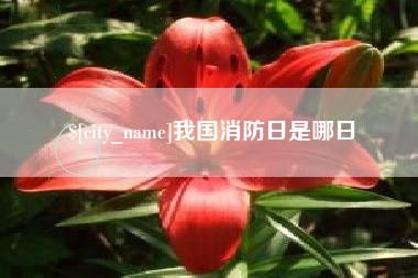 黄石我国消防日是哪日